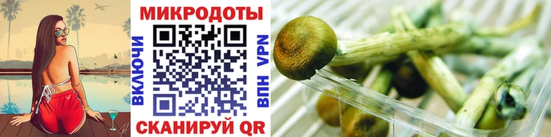 Псилоцибиновые грибы Psilocybine cubensis  Краснознаменск 